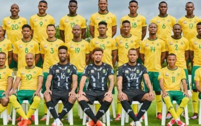 Afrique du Sud : les agrumes, pilier discret d’une Nation